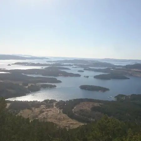 Dada * Hjelmeland